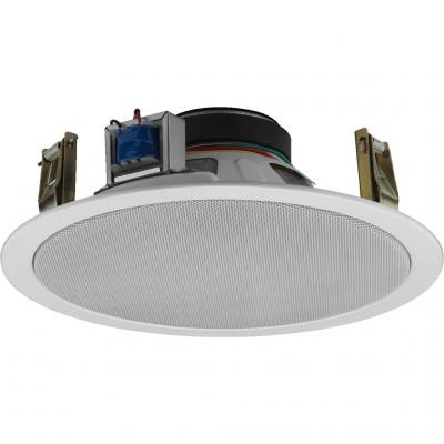 PA Ceiling Speaker with Integrated Tweeter